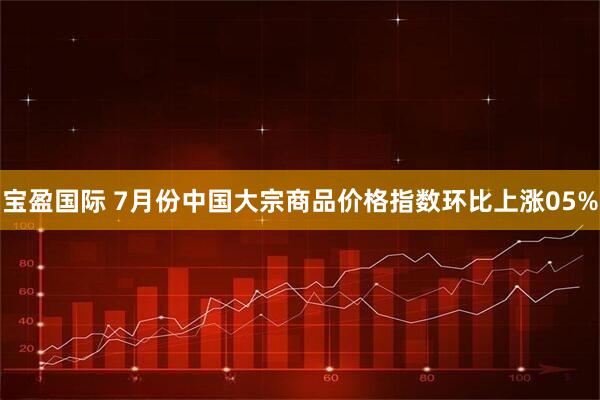 宝盈国际 7月份中国大宗商品价格指数环比上涨05%