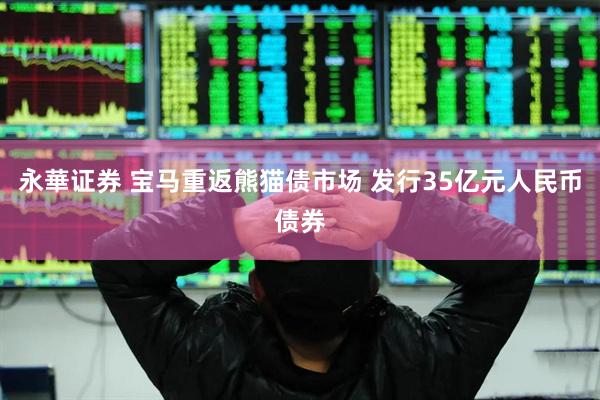 永華证券 宝马重返熊猫债市场 发行35亿元人民币债券